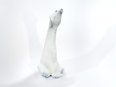 Sun Salutation - Polar Bear