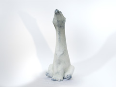 Sun Salutation - Polar Bear